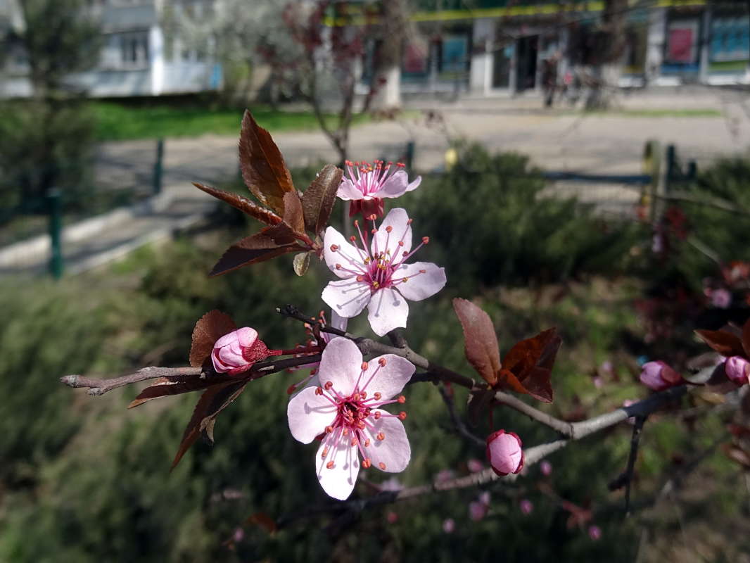 ����� �� ����� ����� ������ ���� �� PhotoGeek.ru #�������� ����������