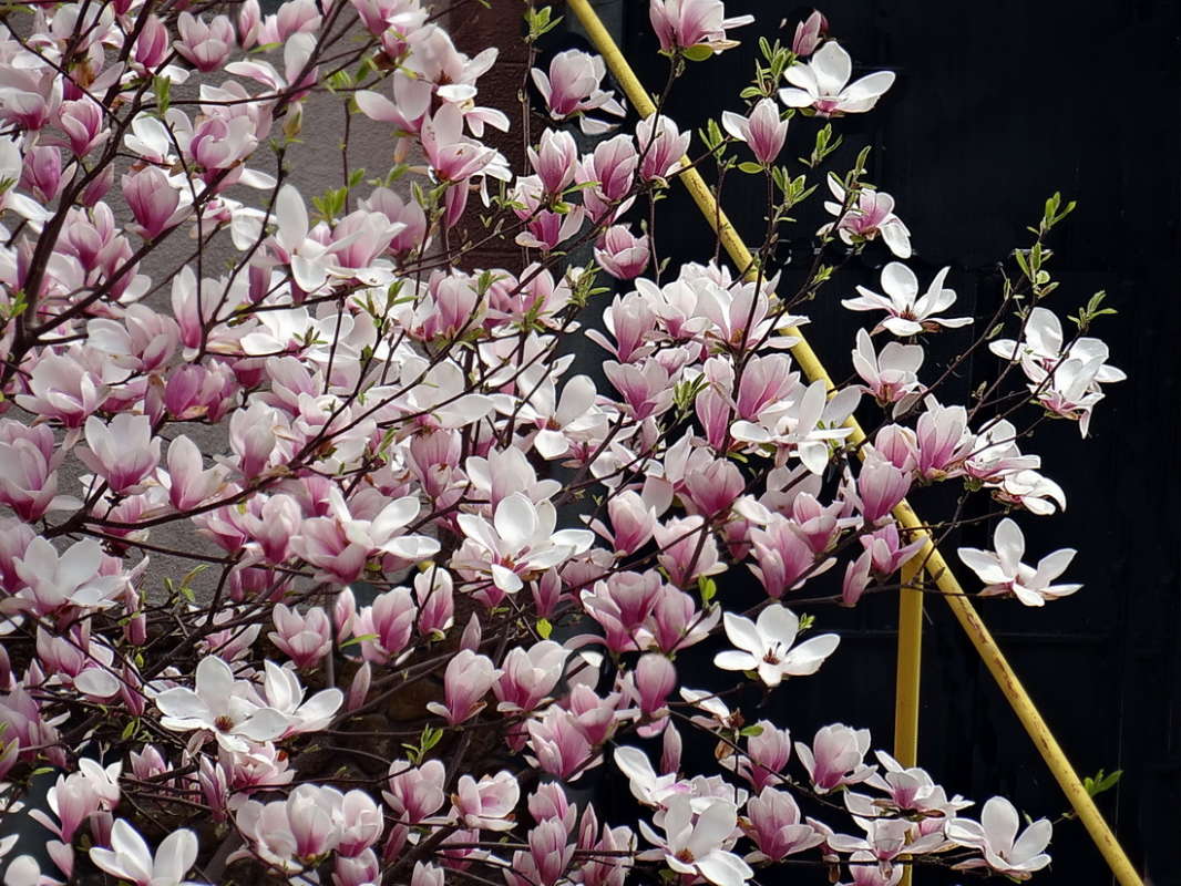 �� ����� ������������ �������� ����� ������ ���� �� PhotoGeek.ru #������ ��� �������