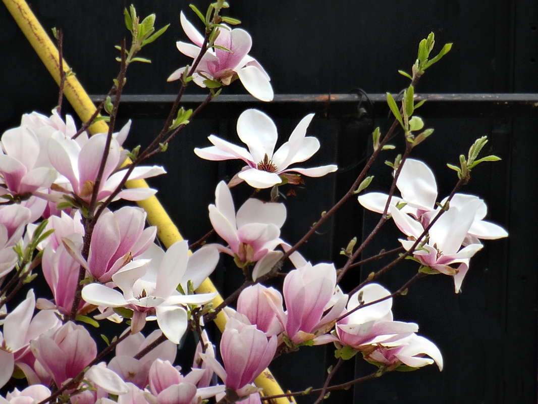 �������� ����� ������ ���� �� PhotoGeek.ru #������ ��� �������