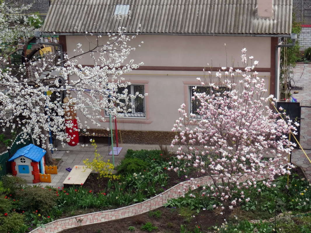 ������� ������ ����� ������ ���� �� PhotoGeek.ru #������ ��� �������