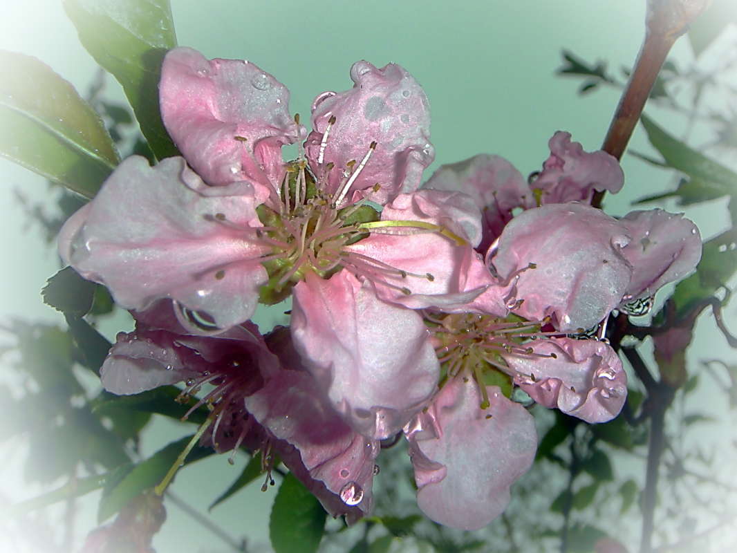 �������� ��� ������ ����� ������ ���� �� PhotoGeek.ru #������ ��� �������