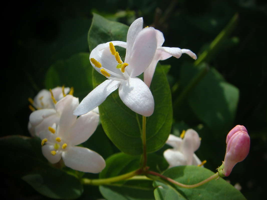 �������� ����� ������ ���� �� PhotoGeek.ru #������ ��� �������