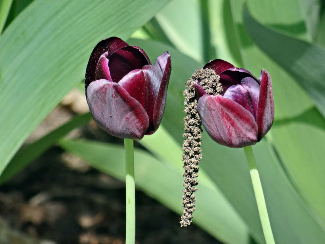 ������� ����� ������ ���� �� PhotoGeek.ru #������ ��� �������