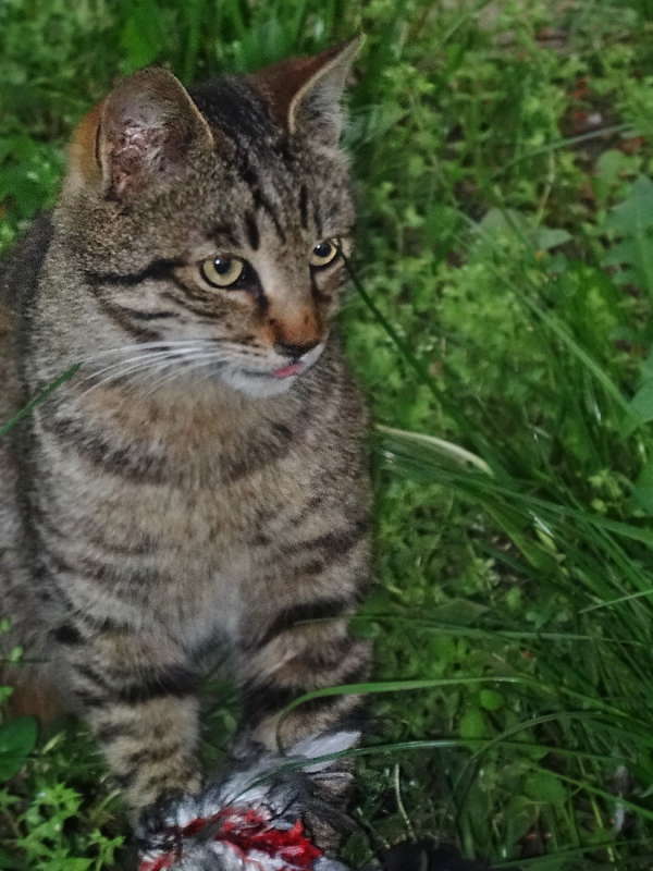 ������� � ������� ����� ������ ���� �� PhotoGeek.ru #�������� ���