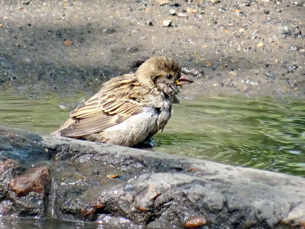 ��������� ����� ������ ����� ������ ���� �� PhotoGeek.ru #�������� ���