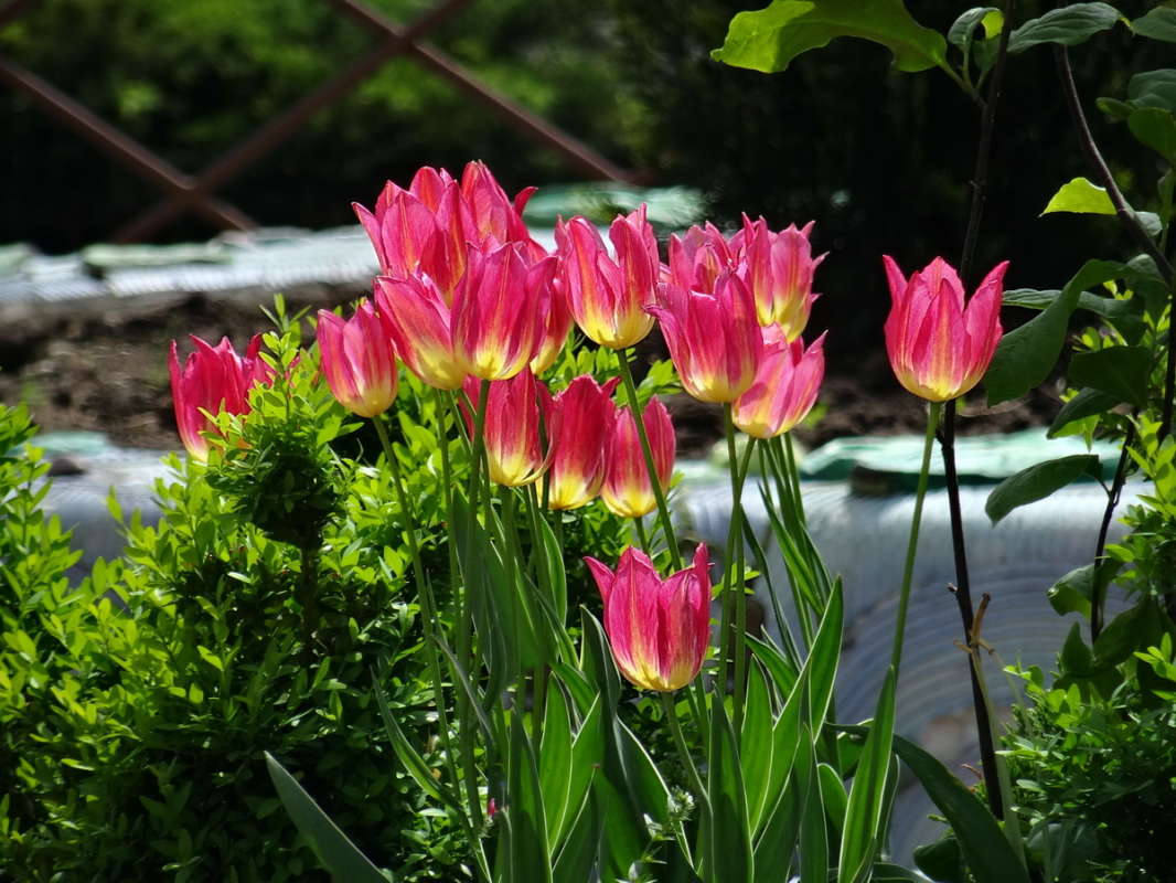 ����������� ����� ������ ���� �� PhotoGeek.ru #������ ��� �������