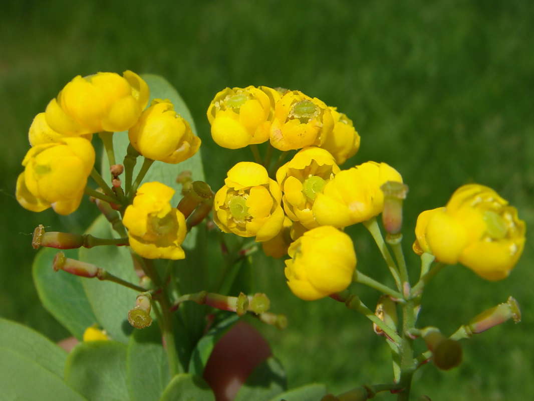 �������� ��������� ����� ������ ���� �� PhotoGeek.ru #������ ��� �������