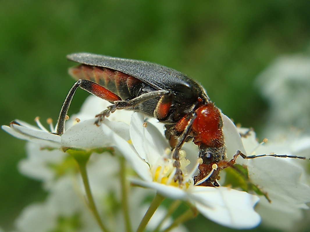 ���� ��������� ����� ������ ���� �� PhotoGeek.ru #�����