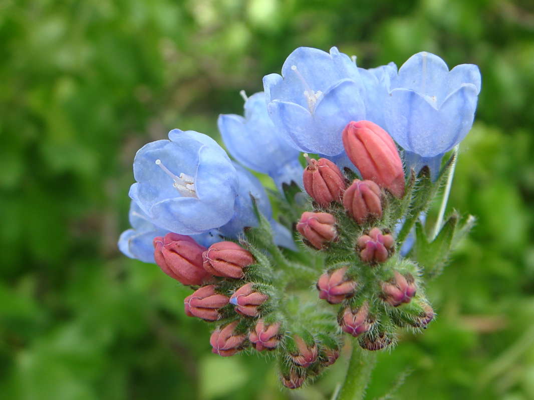 �������� ����� ������ ���� �� PhotoGeek.ru #������ ��� �������