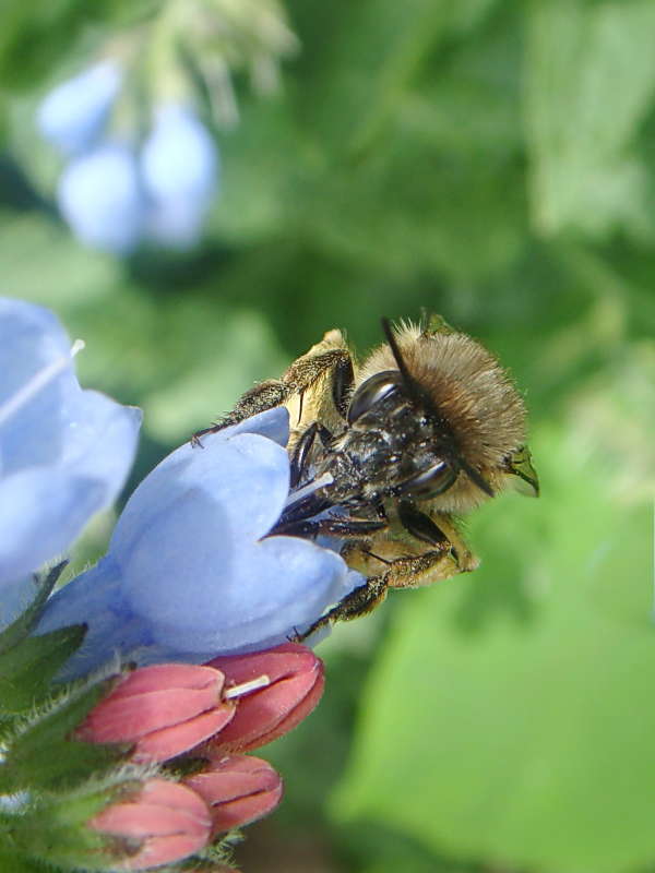 ���� ������ ����� ������ ���� �� PhotoGeek.ru #�����