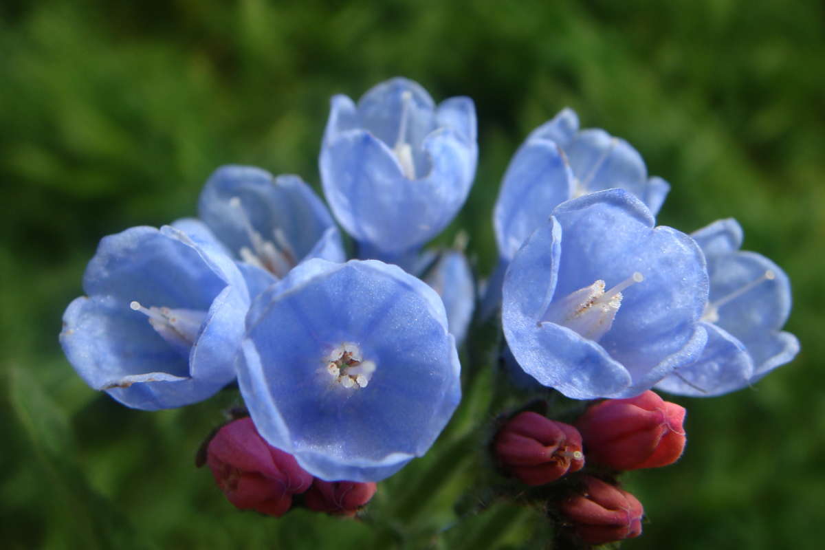 ����� ���������� ����� ������ ���� �� PhotoGeek.ru #������ ��� �������