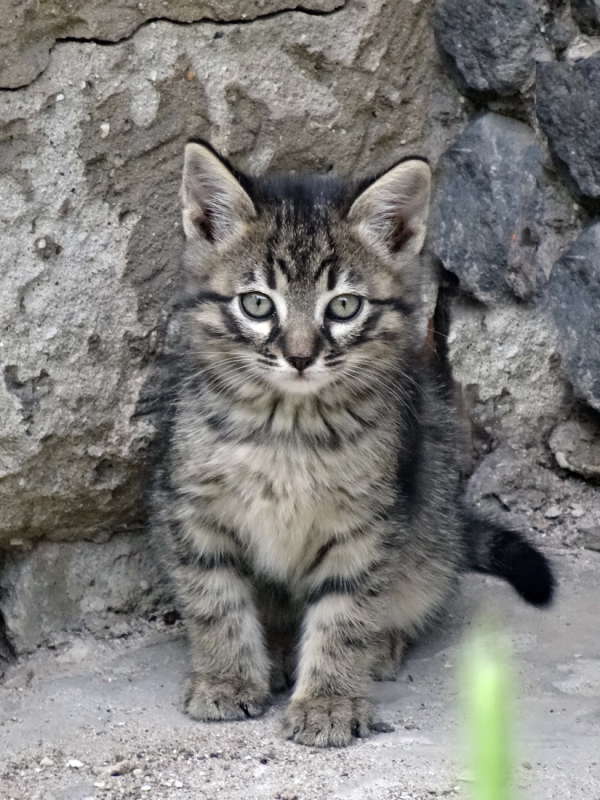 ��������� ����� ������ ���� �� PhotoGeek.ru #�������� ���