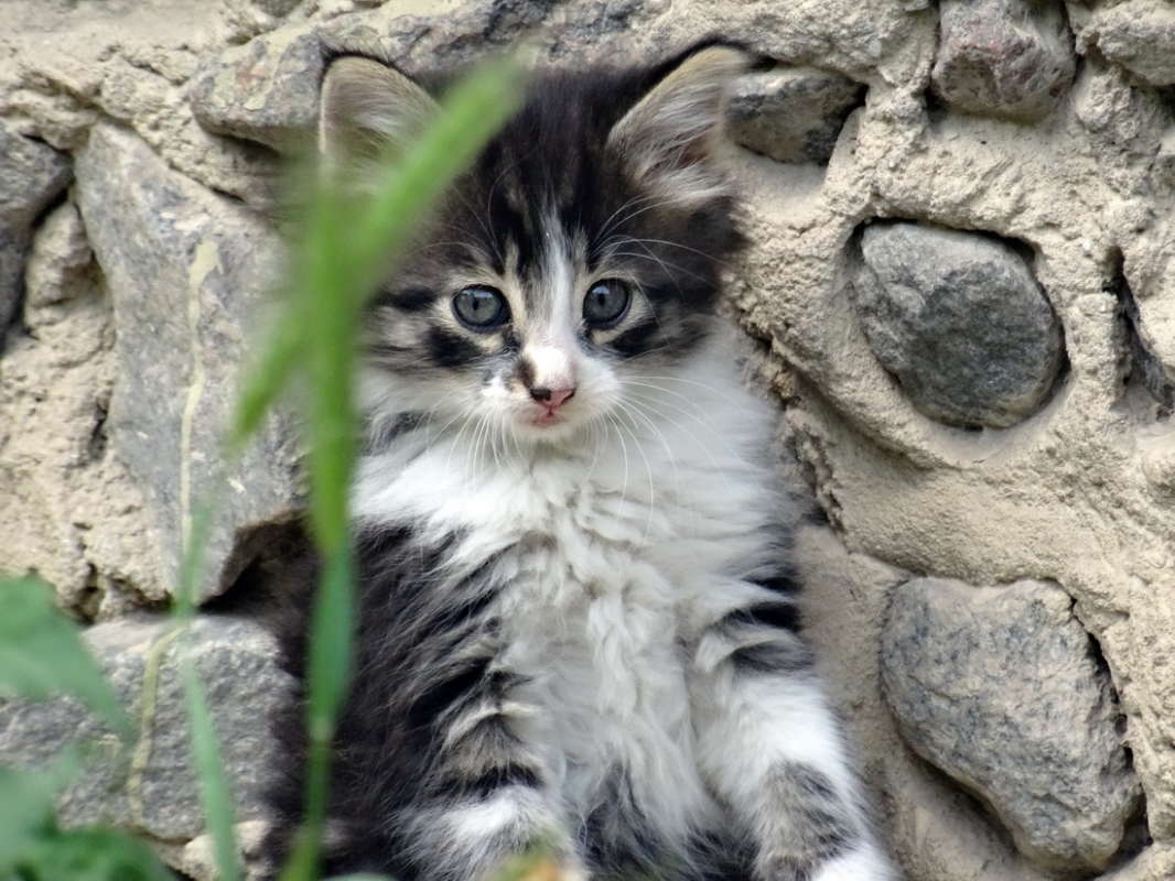 ��� ��� ���? ����� ������ ���� �� PhotoGeek.ru #�������� ���