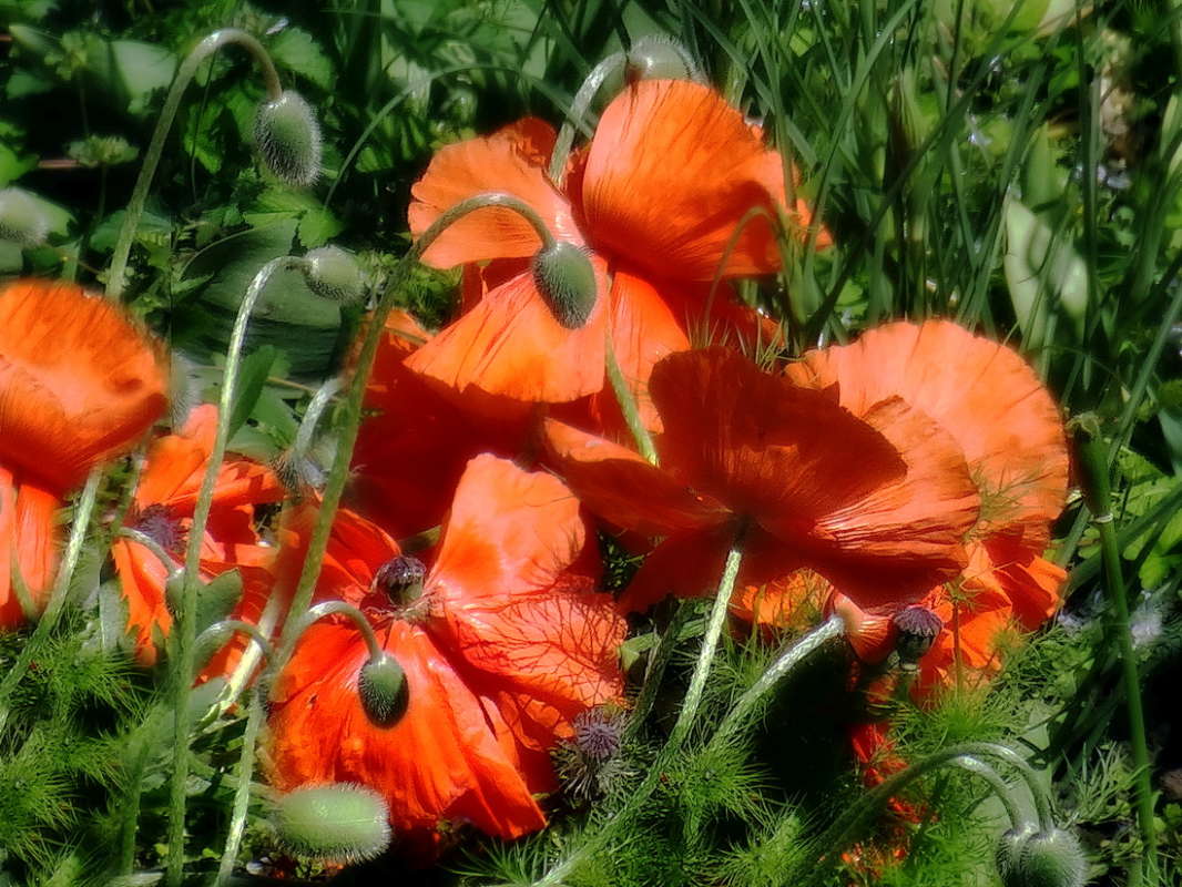 ������ ���� ����� ����� ������ ���� �� PhotoGeek.ru #������ ��� �������