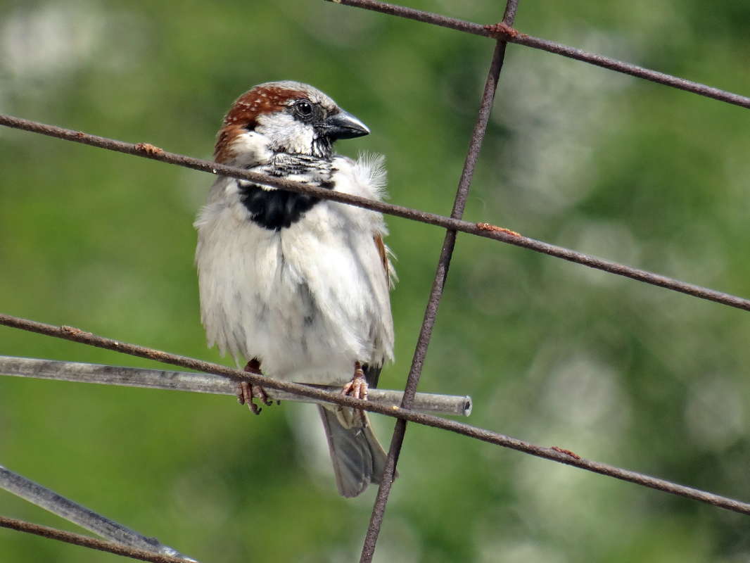 ����� ��� � ����� ����� ������ ���� �� PhotoGeek.ru #�������� ���