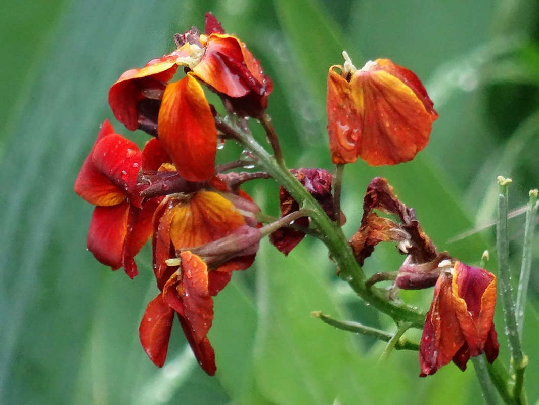 ������ �������� ����� ������ ���� �� PhotoGeek.ru #������ ��� �������