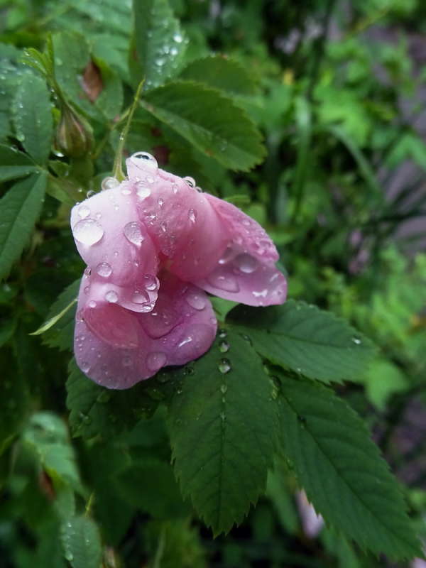 �������� � ������� ����� ����� ������ ���� �� PhotoGeek.ru #������ ��� �������