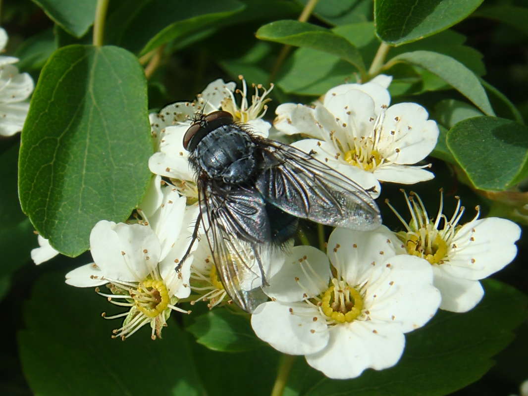 ���� ���� ����� �������� ����� ������ ���� �� PhotoGeek.ru #�����