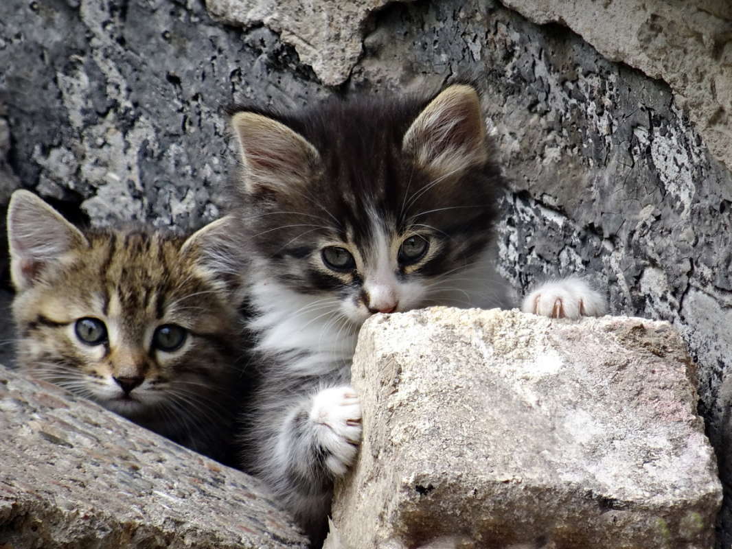 ���������� ������ ����� ������ ���� �� PhotoGeek.ru #�������� ���