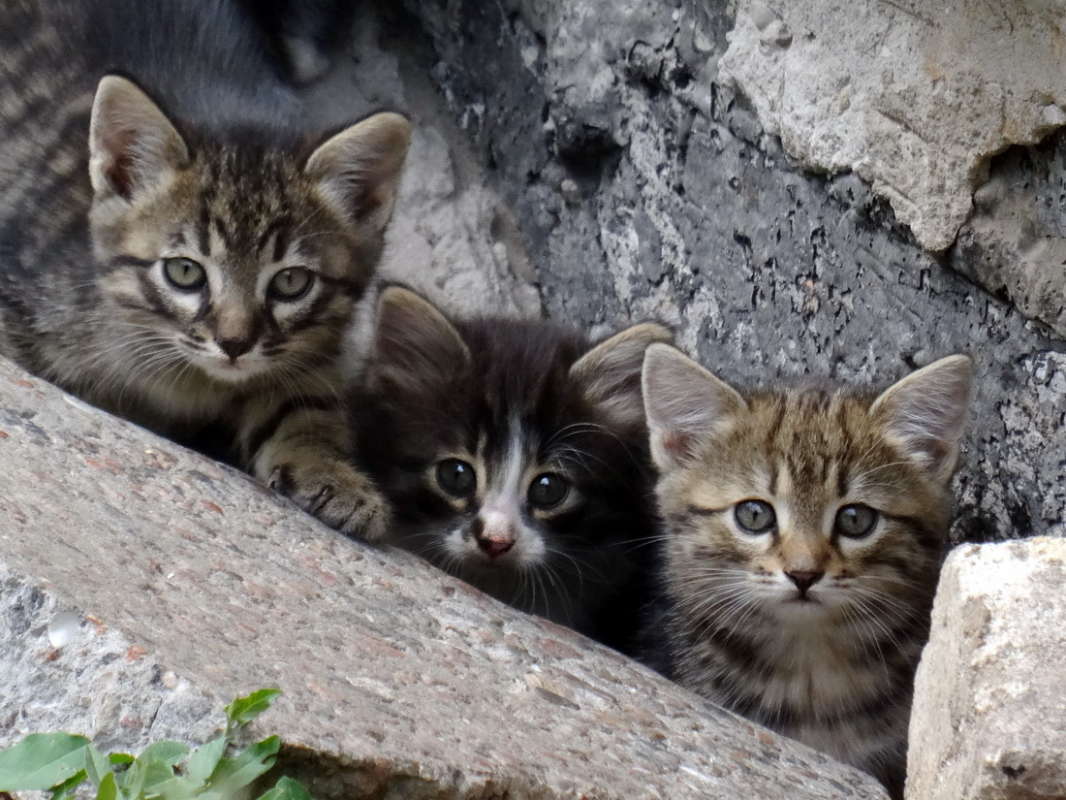 ��������� ����� ������ ���� �� PhotoGeek.ru #�������� ���