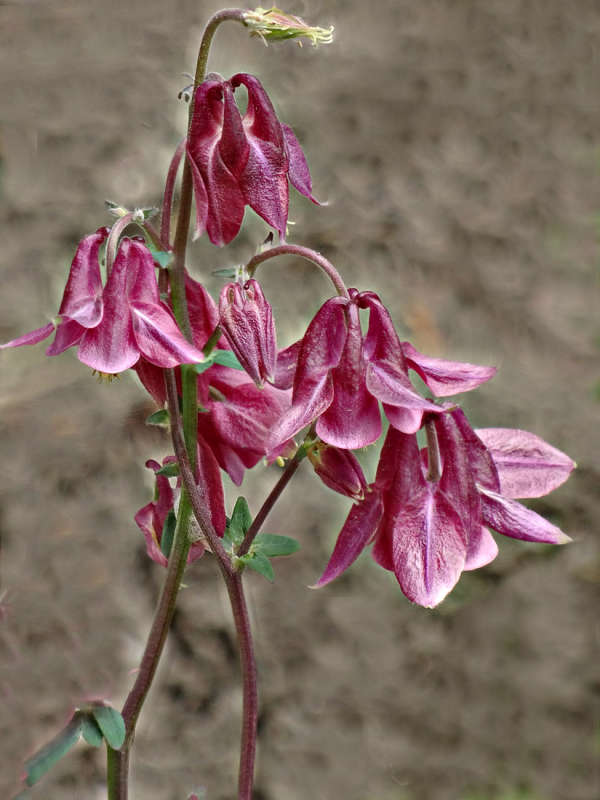 ������� �������� ����� ������ ���� �� PhotoGeek.ru #������ ��� �������