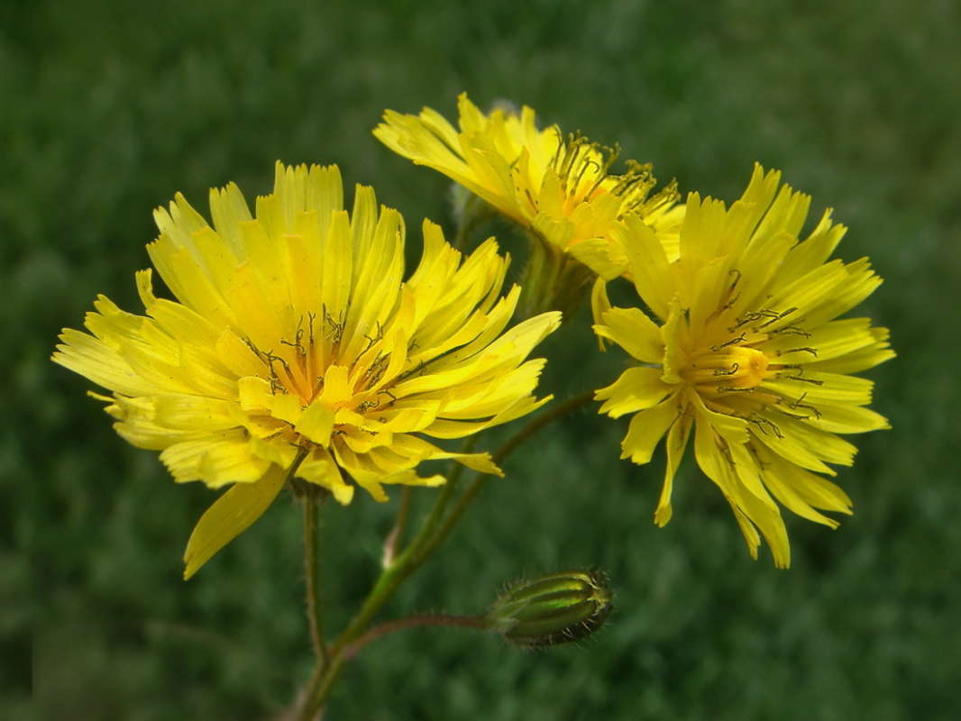 ����� ���������� ����� ������ ���� �� PhotoGeek.ru #������ ��� �������