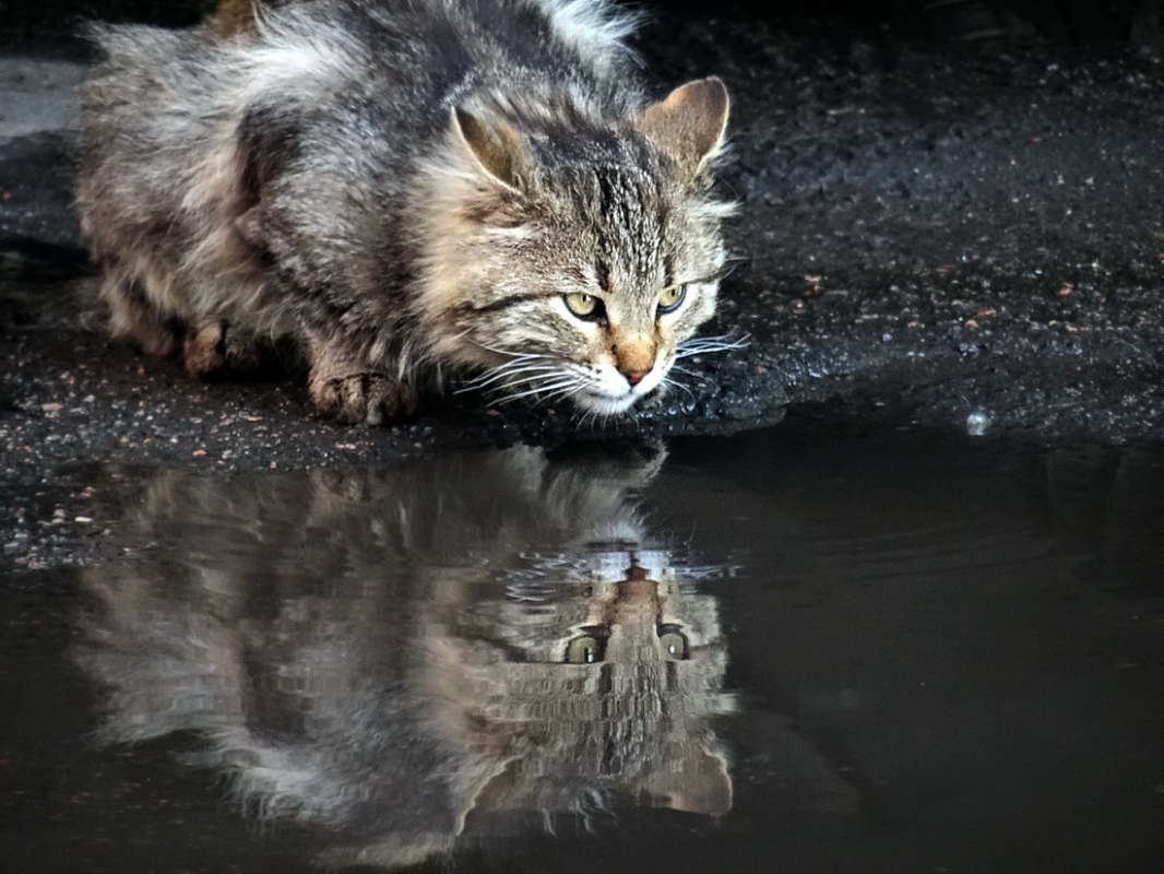 ���� �� ������� ����� ������ ���� �� PhotoGeek.ru #�������� ���