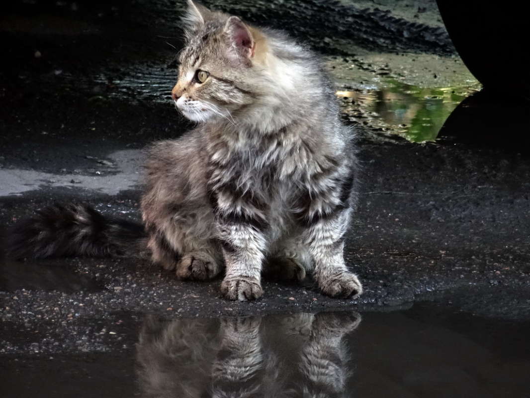 ������ ����� ������ ���� �� PhotoGeek.ru #�������� ���