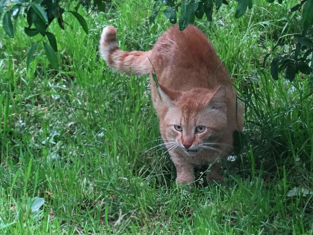 ����� ����� �� ������ ����� ������ ���� �� PhotoGeek.ru #�������� ���