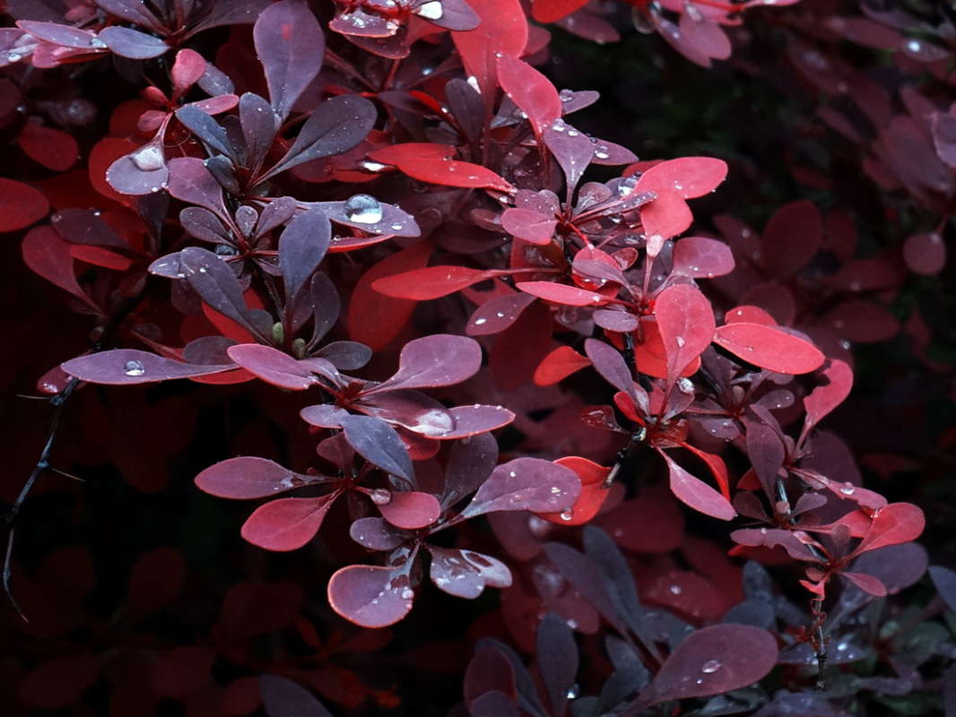 ������-������... ����� ������ ���� �� PhotoGeek.ru #������ ��� �������