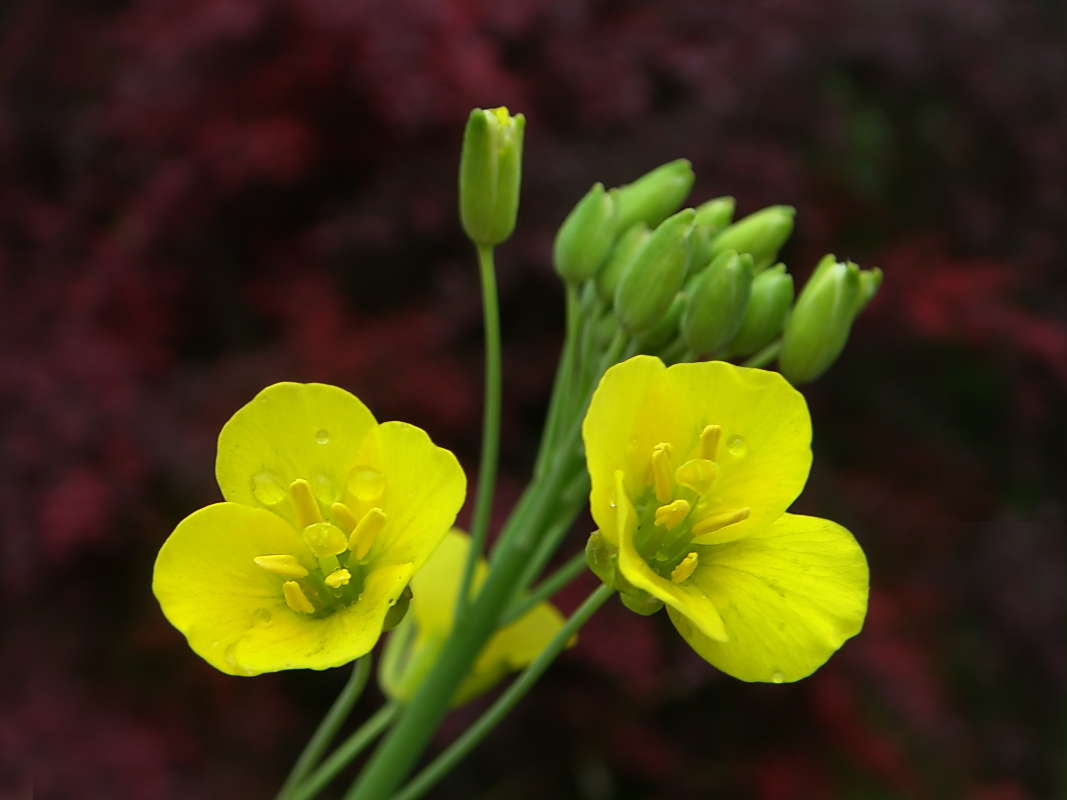 ������� ����� ������ ���� �� PhotoGeek.ru #������ ��� �������