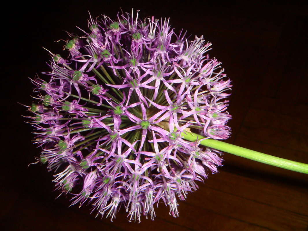 ������� �� ��������� ����� ������ ���� �� PhotoGeek.ru #������ ��� �������