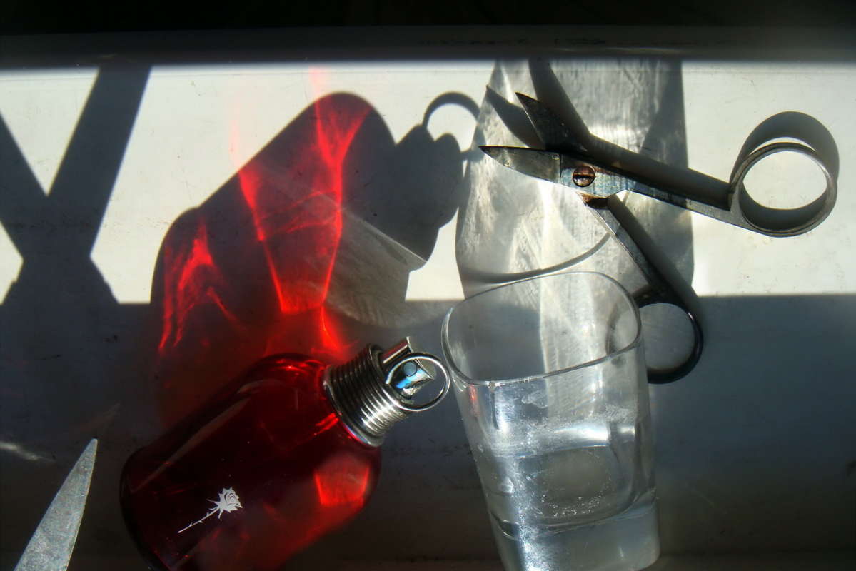 �� ������� ���������� ����� ������ ���� �� PhotoGeek.ru #���������