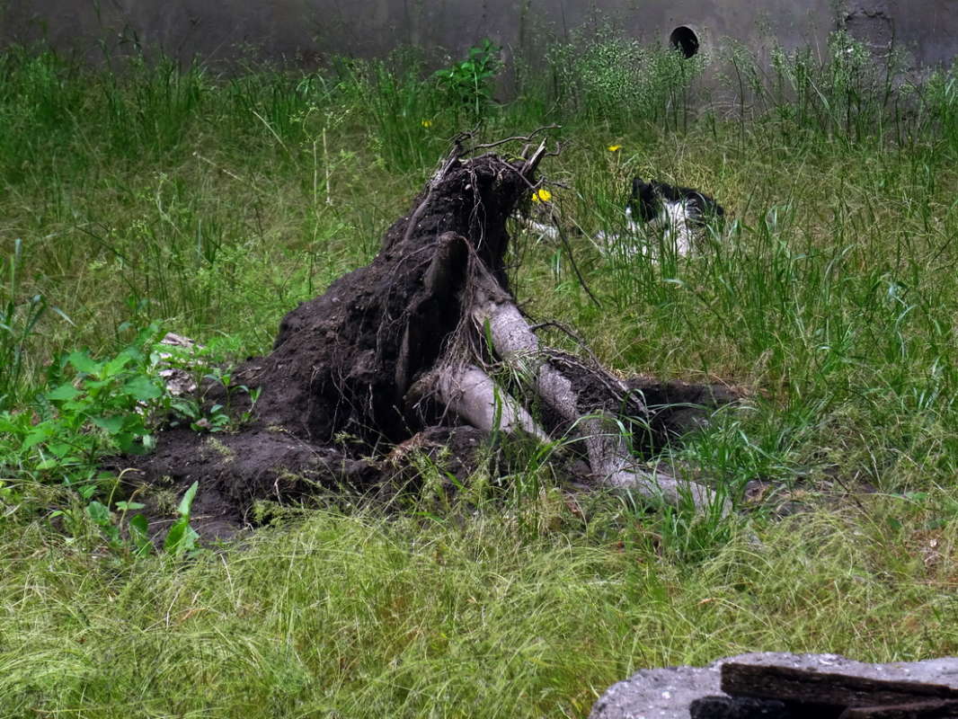 ������� ����� ������ ���� �� PhotoGeek.ru #�������� ����������