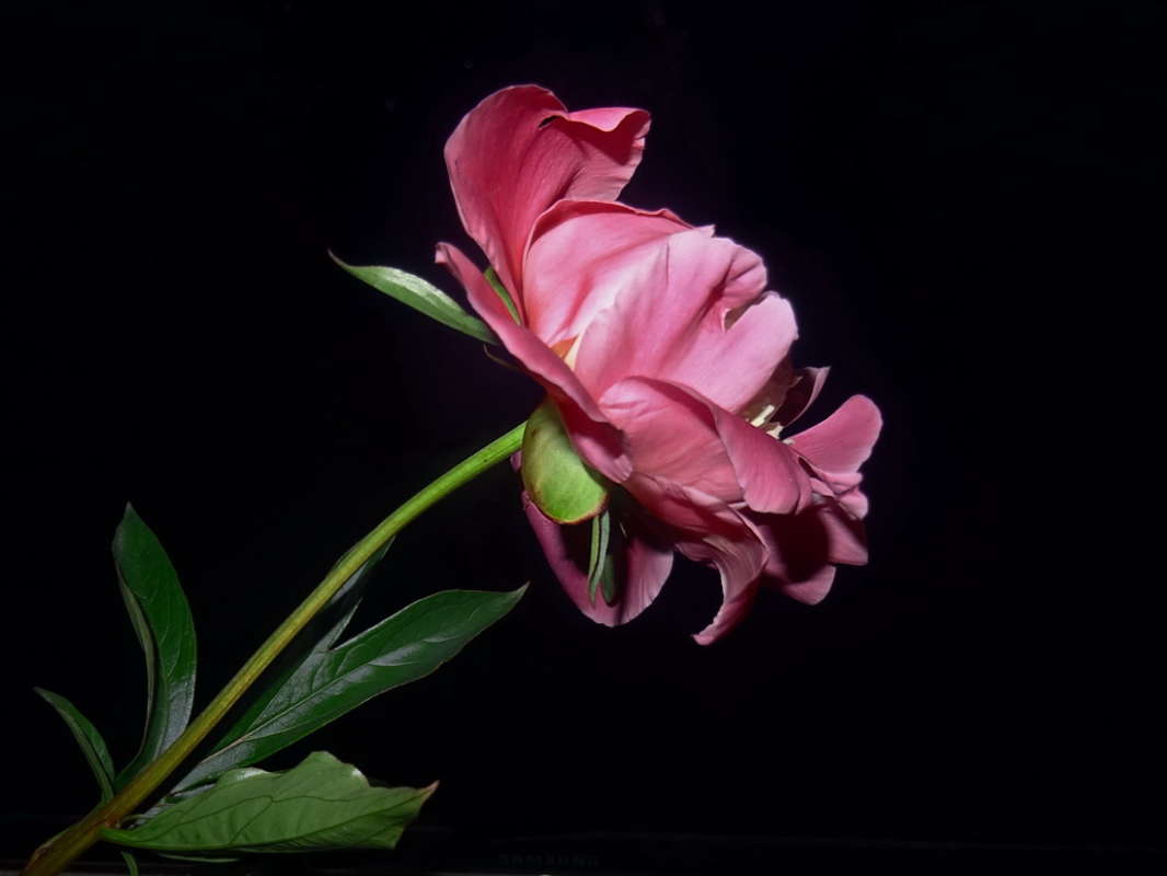 ���� ����� ������ ���� �� PhotoGeek.ru #�������� ����������