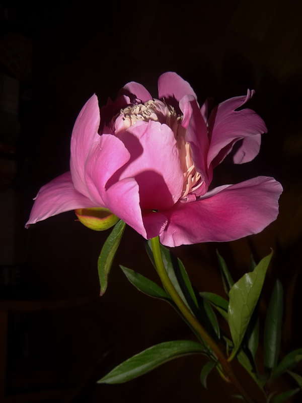 ���� � ���� ����� ������ ���� �� PhotoGeek.ru #�������� ����������