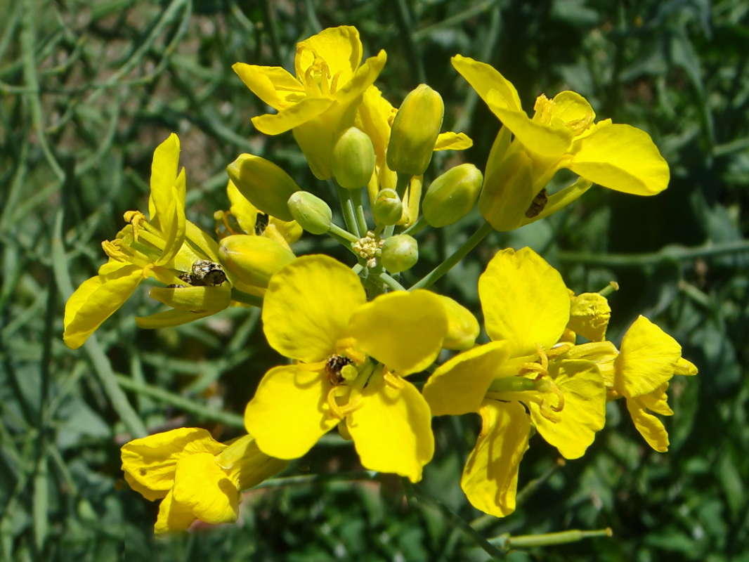 ���� ����� ������ ���� �� PhotoGeek.ru #������ ��� �������