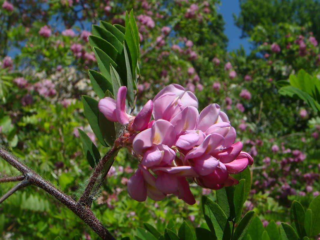 ������� ������ ����� ������ ���� �� PhotoGeek.ru #������ ��� �������