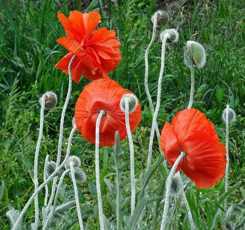 ���� ����� ������ ���� �� PhotoGeek.ru #������ ��� �������