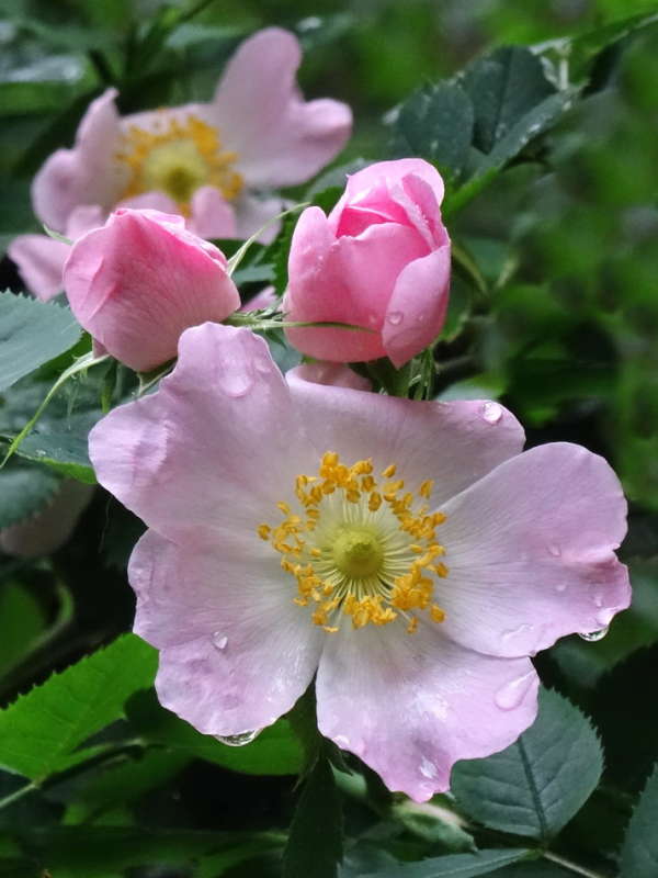 ������ ����� ����� ������ ���� �� PhotoGeek.ru #������ ��� �������