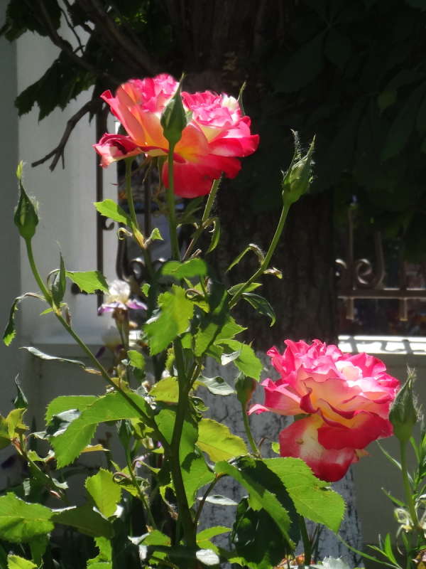 ��� � ���� ! ����� ������ ���� �� PhotoGeek.ru #������ ��� �������