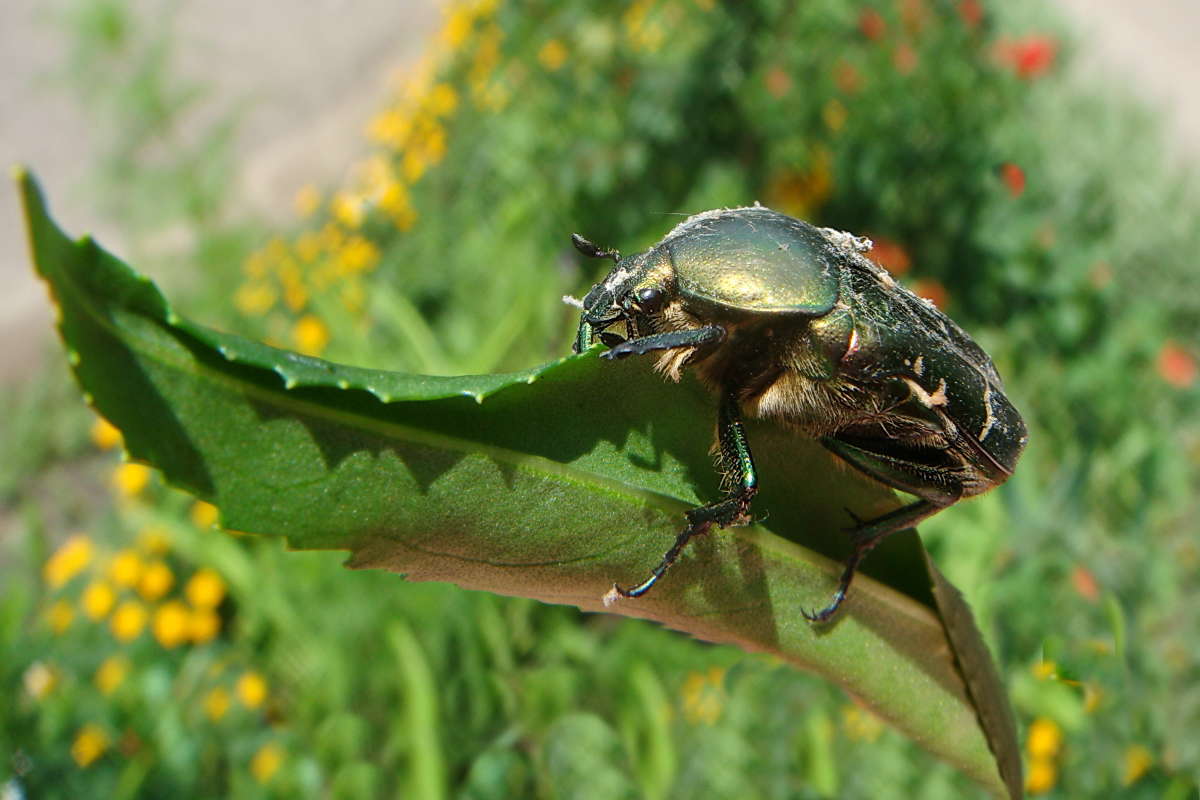 ��� ����� ������ ���� �� PhotoGeek.ru #�����