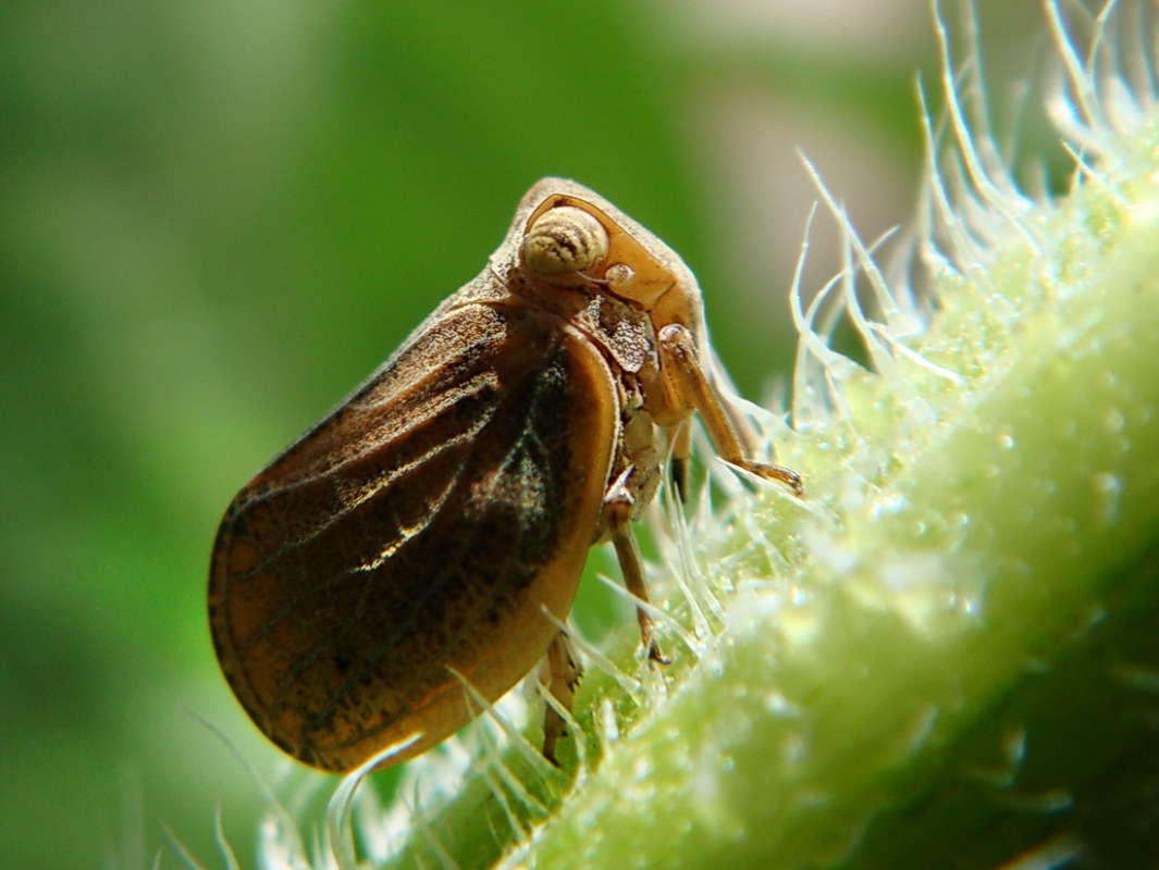 ���-�� ��������� ����� ������ ���� �� PhotoGeek.ru #�����