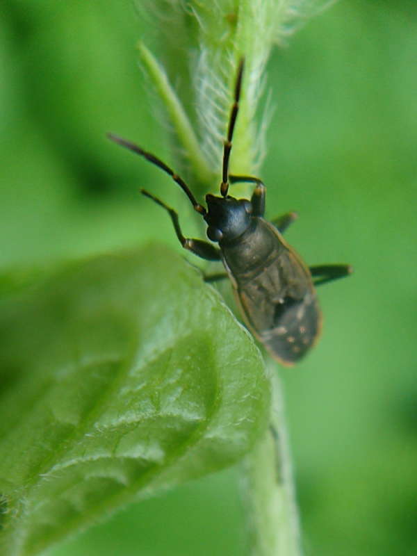 ��������� ��� ����� ������ ���� �� PhotoGeek.ru #�����