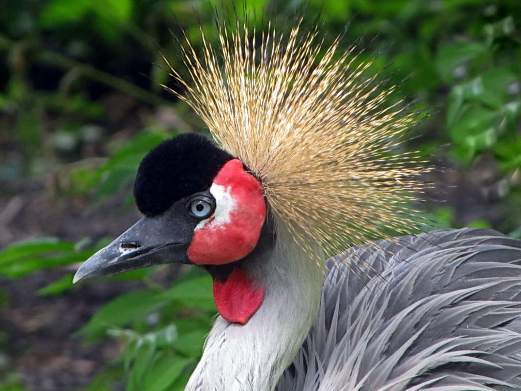 ����������� �������� ����� ������ ���� �� PhotoGeek.ru #�������� ���