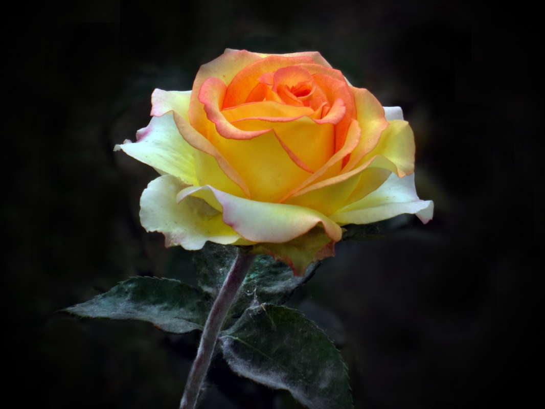 ���� ����� ������ ���� �� PhotoGeek.ru #������ ��� �������