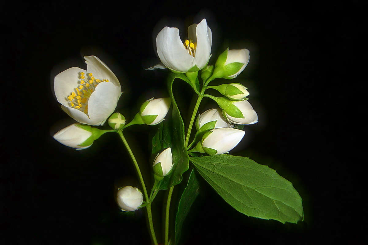 ������ ����� ������ ���� �� PhotoGeek.ru #������ ��� �������