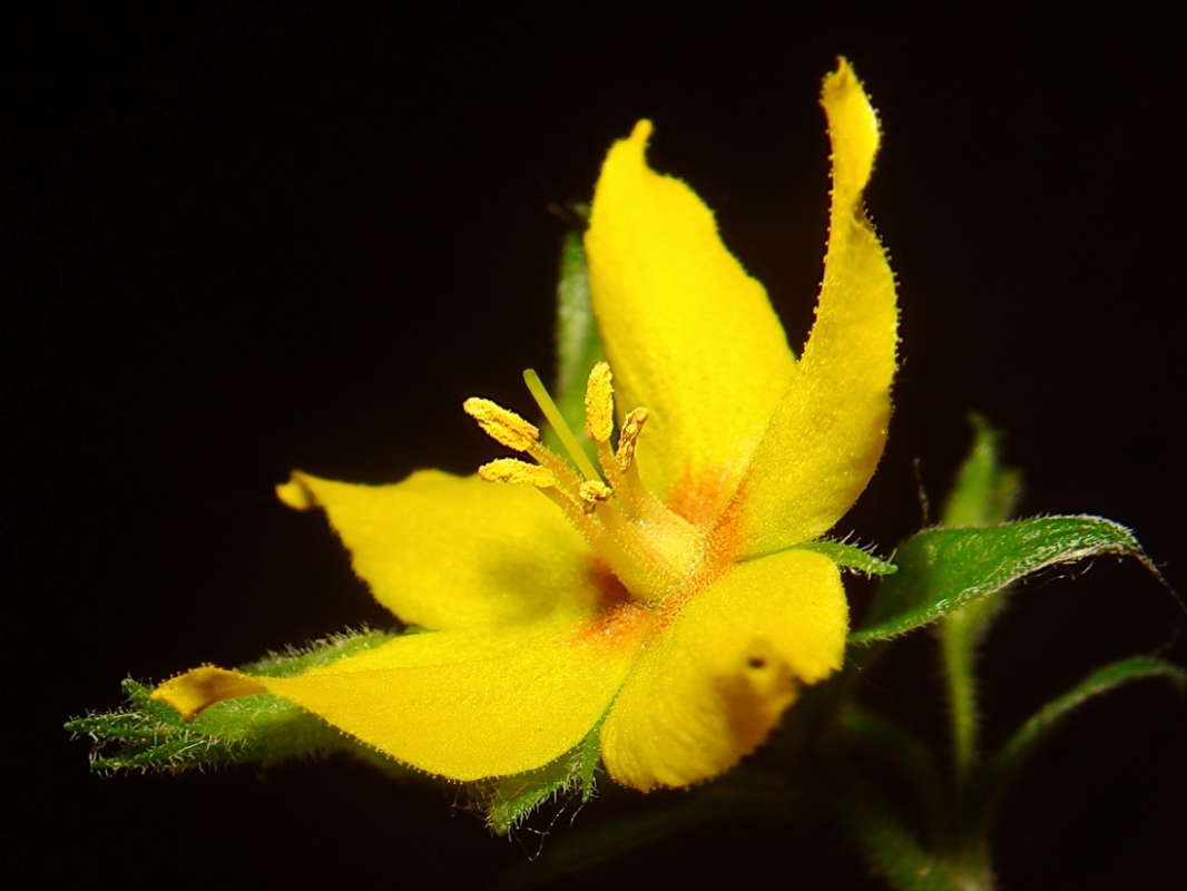 ���� ������ �� �������� �������� ����� ������ ���� �� PhotoGeek.ru #������ ��� �������