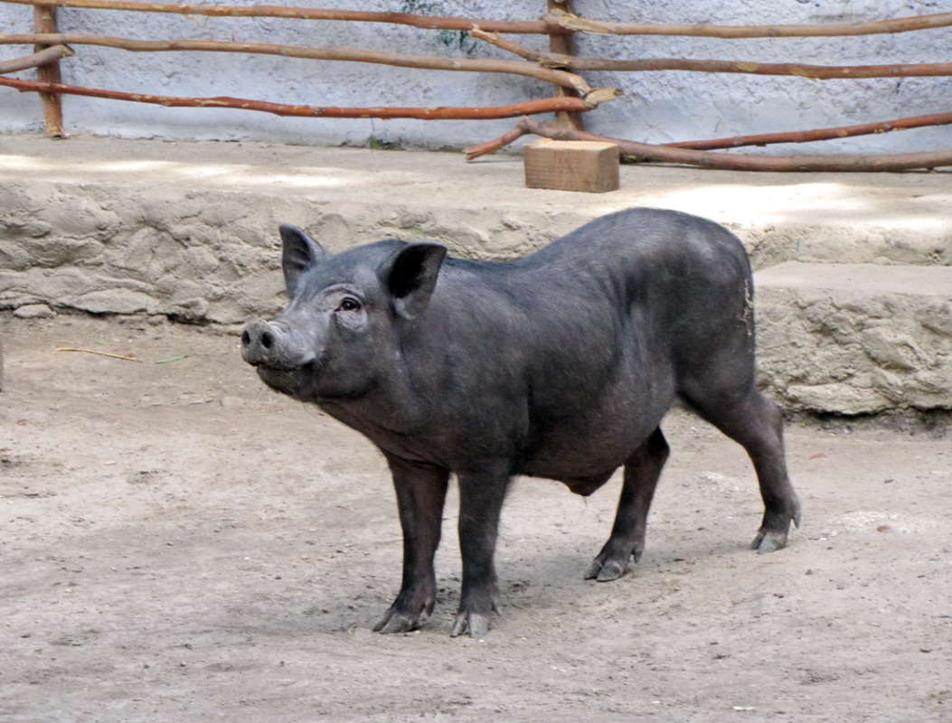 �������� ����� ������ ���� �� PhotoGeek.ru #�������� ���