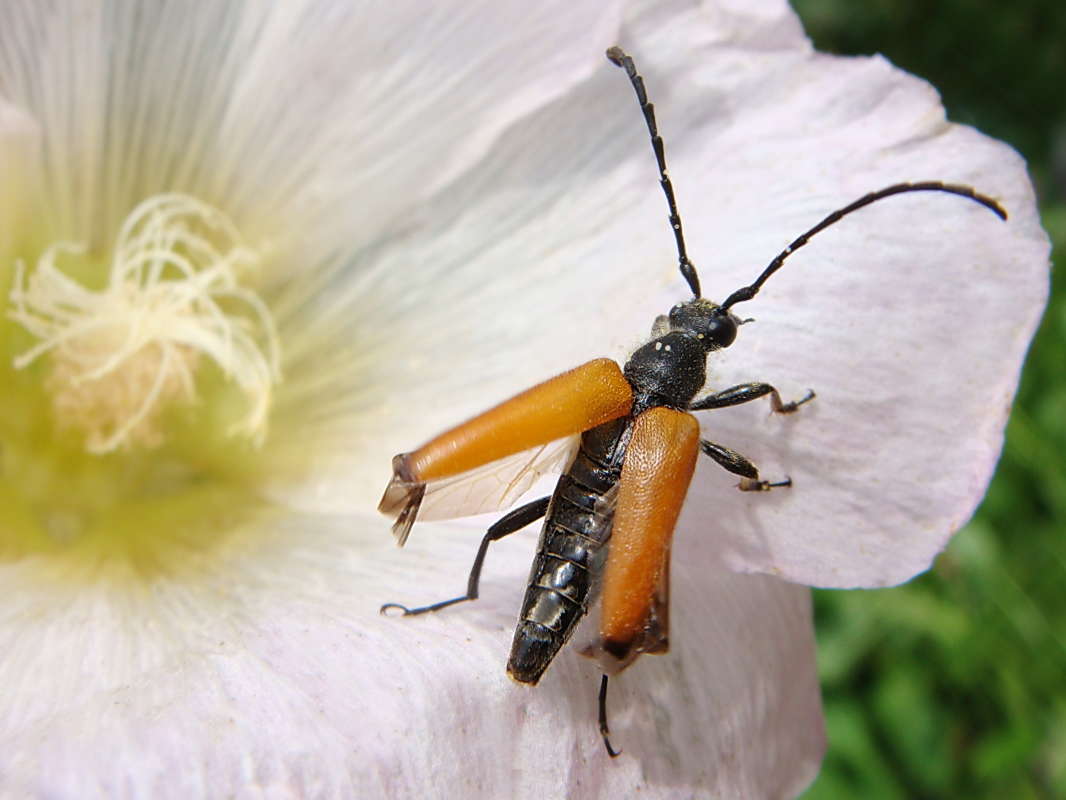 ��������� ��� ����� ������ ���� �� PhotoGeek.ru #�����